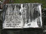 image of grave number 890689